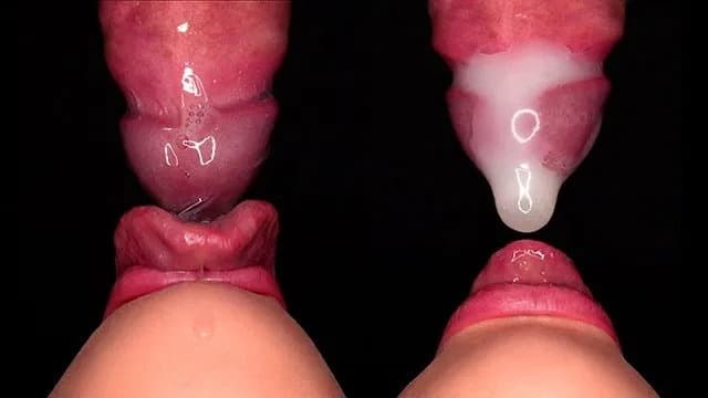 Close Up: Best Bottom View Condom Blowjob! She Broke the Condom and Starts Pl