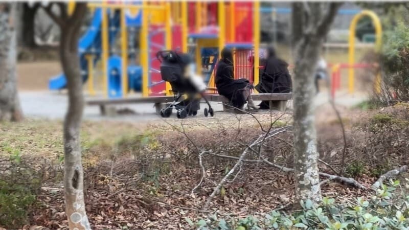 FC2-PPV-4821039 [Individual] Influencer's Wife Caught in Seductive Park Escape